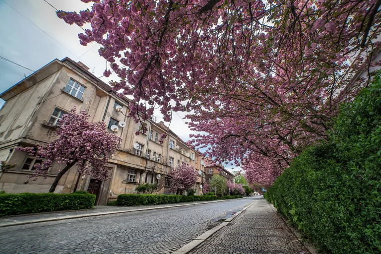 Photo of Uzhhorod