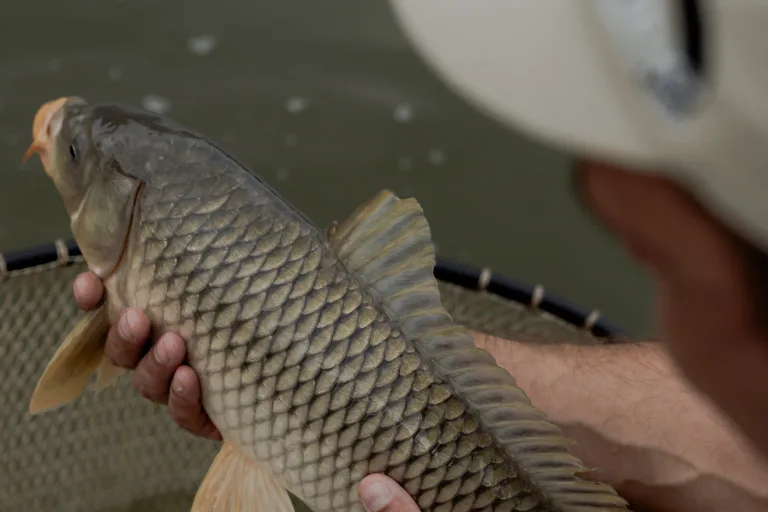 Fishing on the Seven Lakes ponds · Daily: gazebos, an open pier or fishing right outside your guesthouse — Seven Lakes ponds, 186 Tsentralna St, Osokorky, Kyiv, Kyiv