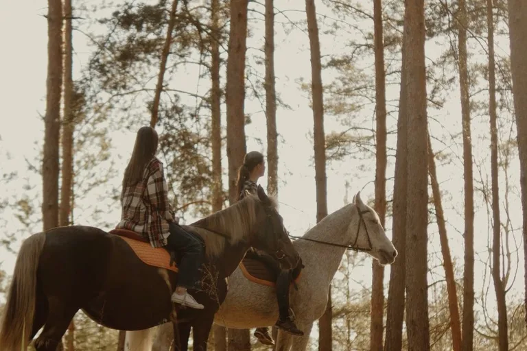 Horse rides through the pine forest · Every weekend at Riverwood, by advance booking — Pine forest by Riverwood Relax Park, Moshny village, Moshny