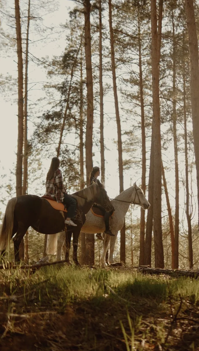 Horse rides through the pine forest · Every weekend at Riverwood, by advance booking — Pine forest by Riverwood Relax Park, Moshny village, Moshny