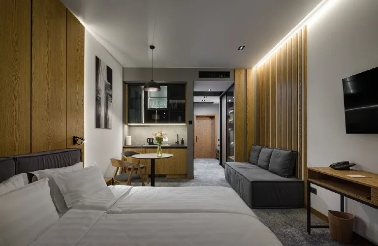 Standard 1 — Apartel Skhidnytsya Wellness Resort (photo 1)