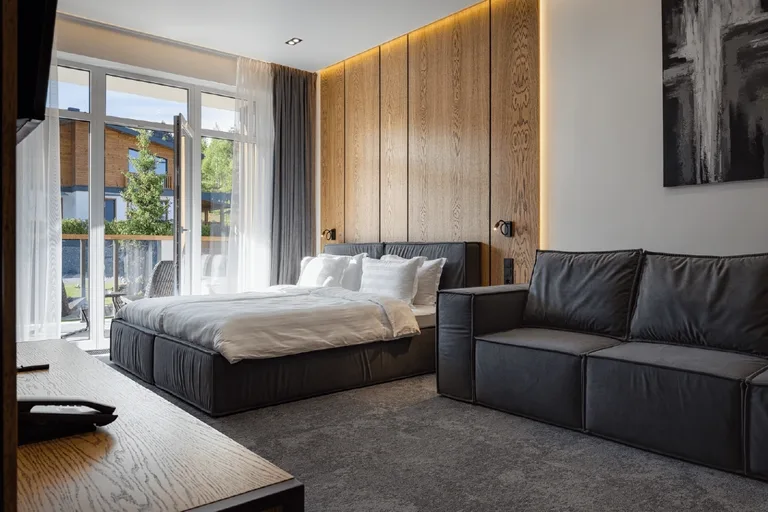 Standard Studio 2 — Apartel Skhidnytsya Wellness Resort (photo 1)