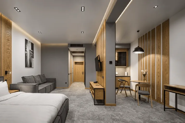 Standard Studio 3 — Apartel Skhidnytsya Wellness Resort (photo 1)