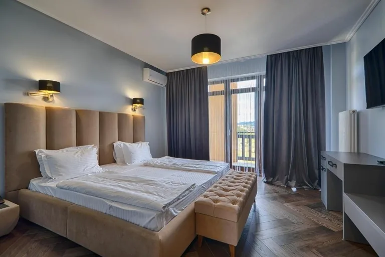 Представницький люкс — F&B SPA Resort (фото 1)