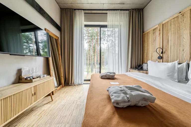 Standard Forest View Room — SHELEST (фото 1)